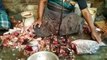 Amazing Katla Fish Cutting Skills in Fish Market 2020 || RST Cutting skills
