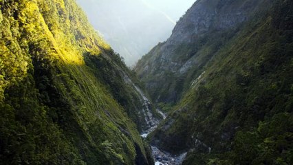 Drone Views Nature with Wild Buffalo Music