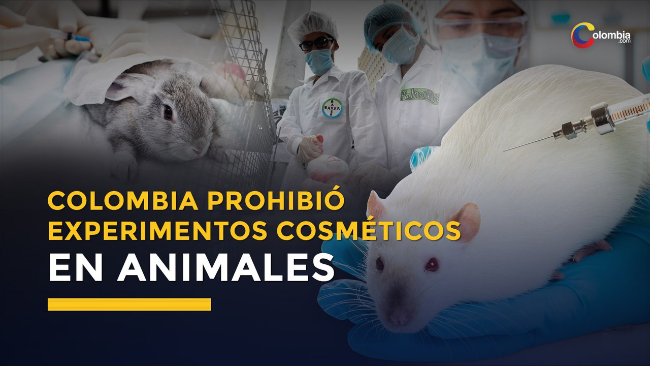 Colombia prohibió experimentos de productos cos...