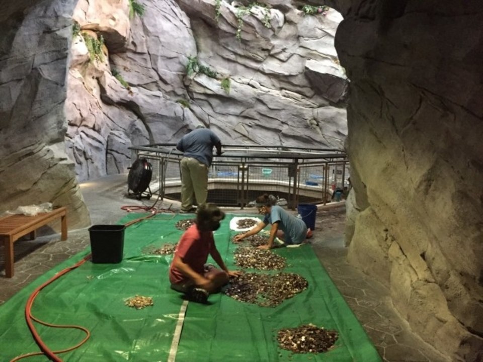 100 Gallons of Coins Recovered from Waterfall a...