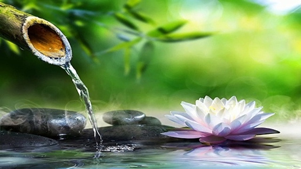 Meditation Music, Sleep Music, Positive Energy Awakening,  Feel Relax.