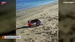 Cali, la perrita que se divierte en la playa en su silla de ruedas