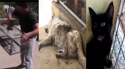 Sosyal medya Kahramanmaraş'ı konuştu