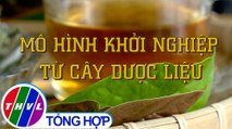 Khởi nghiệp xanh: Mô hình khởi nghiệp từ cây dược liệu