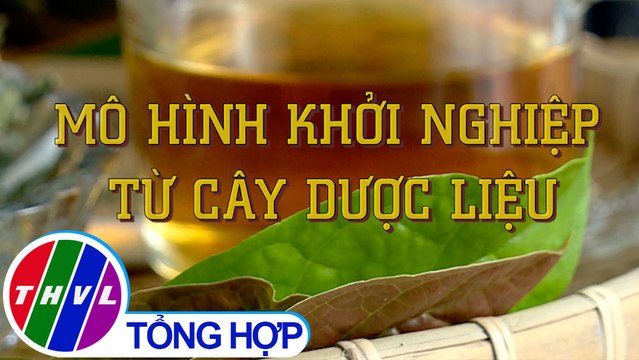 Khởi nghiệp xanh: Mô hình khởi nghiệp từ cây dược liệu