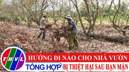 Chuyện hôm nay: Hướng đi nào cho nhà vườn bị thiệt hại sau hạn mặn?