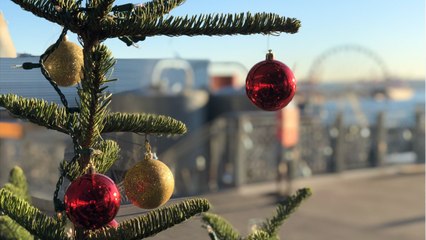 Study: Seattle Started Battling COVID-19 Last Christmas, But Just Didn't Know It