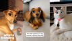 New Filter Allows Users To Turn Their Pets Into Disney Characters