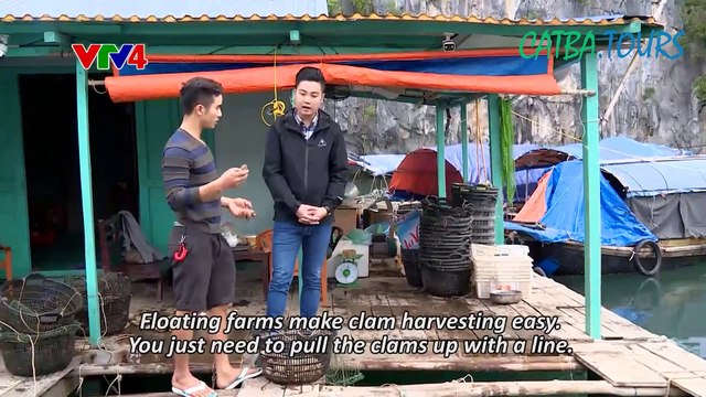 Cùng Catba.tours khám phá ẩm thực Cát Bà nhé