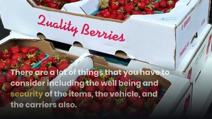 Transport Food from One Place to Another Place