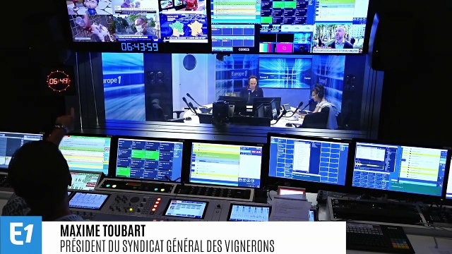 Vendanges précoces : Maxime Toubart assure que le changement climatique a eu des impacts réels et rapides