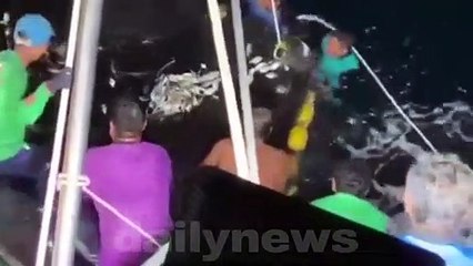 ชมคลิป"ประมงตรัง"ปลดอวน ช่วย2ฉลามวาฬรอดตาย