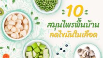 10 สมุนไพรพื้นบ้านลดไขมันในเลือด