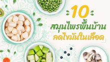 10 สมุนไพรพื้นบ้านลดไขมันในเลือด