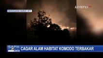 Cagar Alam Habitat Komodo Terbakar di Manggarai Barat NTT