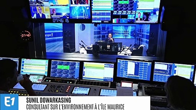 Marée noire à l'Île Maurice : Sunil Dowarkasing assure que les conséquences vont être graves sur la faune