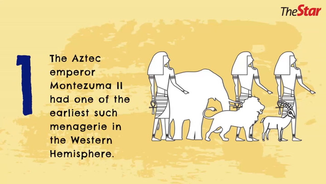 Zoos