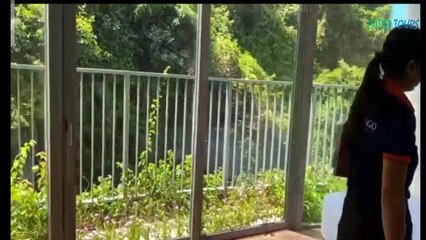 Flamingoa Cát Bà Beach Resort - Combo khách sạn cát bà