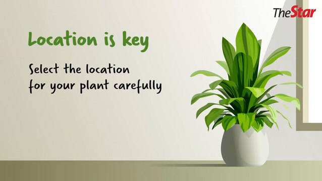 These proud plant parents are nurturing thriving indoor gardens