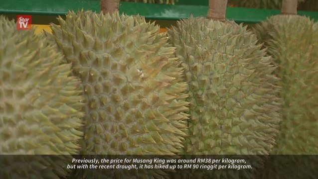 A thorny price to pay for durians