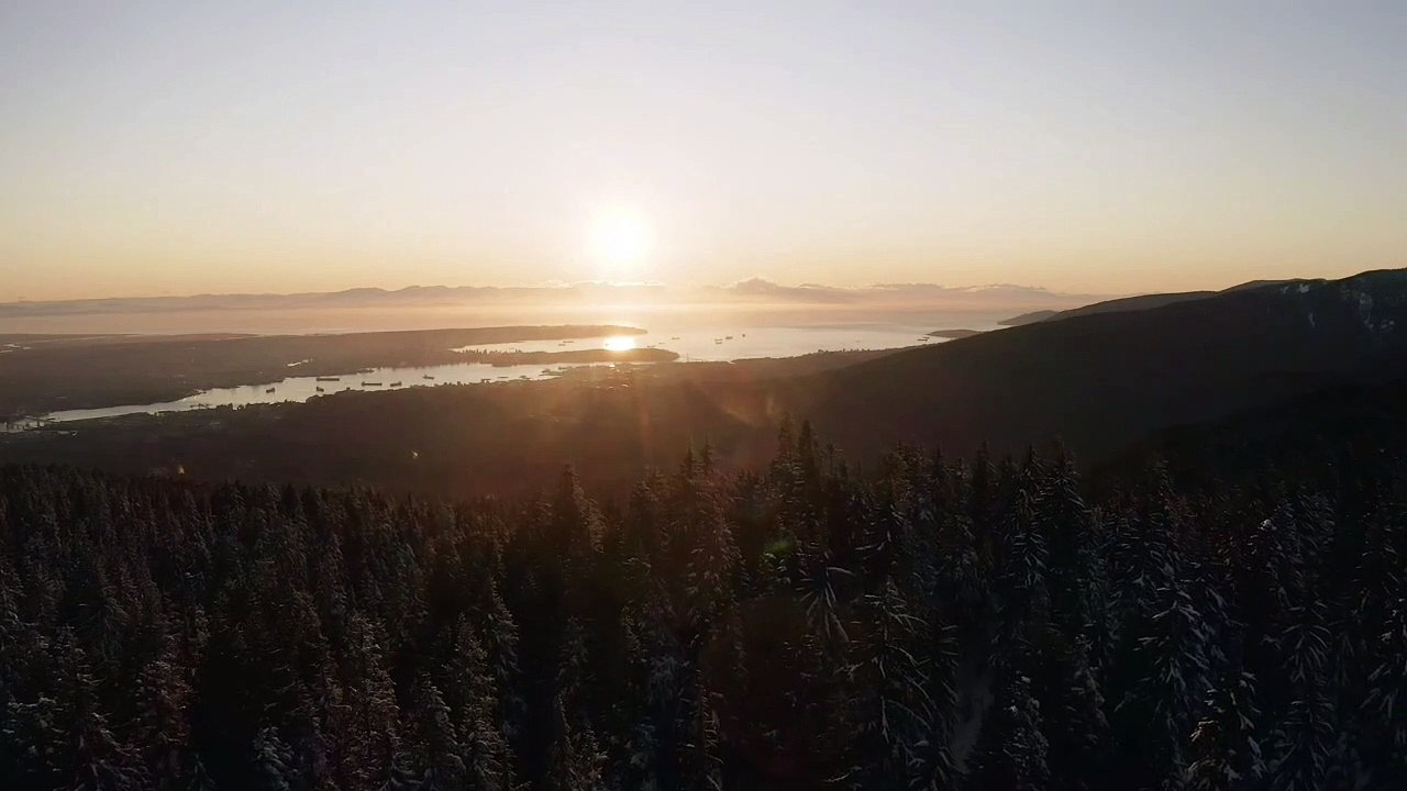 Sunset from a pine forest , whatsapp status video,