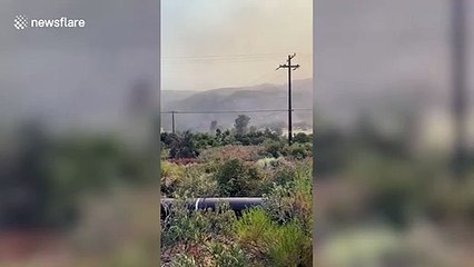 Lake Fire in Southern California grows to 11,000 acres with 5% containment