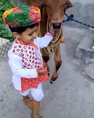 राजस्थानी गोपाळ का प्यारा सा वीडियो