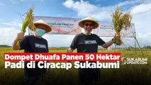 Dompet Dhuafa Panen 50 Hektar Padi di Ciracap Sukabumi