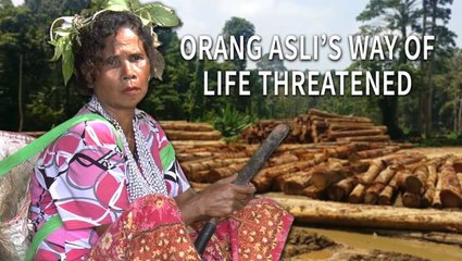 Orang Asli's way of life threatened