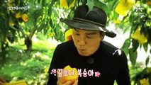 [예고] 복숭아 농사로 연매출 1억? 억 소리 나는 복숭아의 비밀!