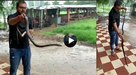 Video: मकान के पास निकल आया आदमी से भी लंबा सांप, पूंछ पकड़कर 1 घंटे में ऐसे किया काबू
