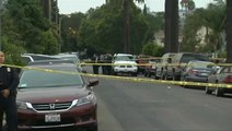 Three dead and many injured in LA shooting