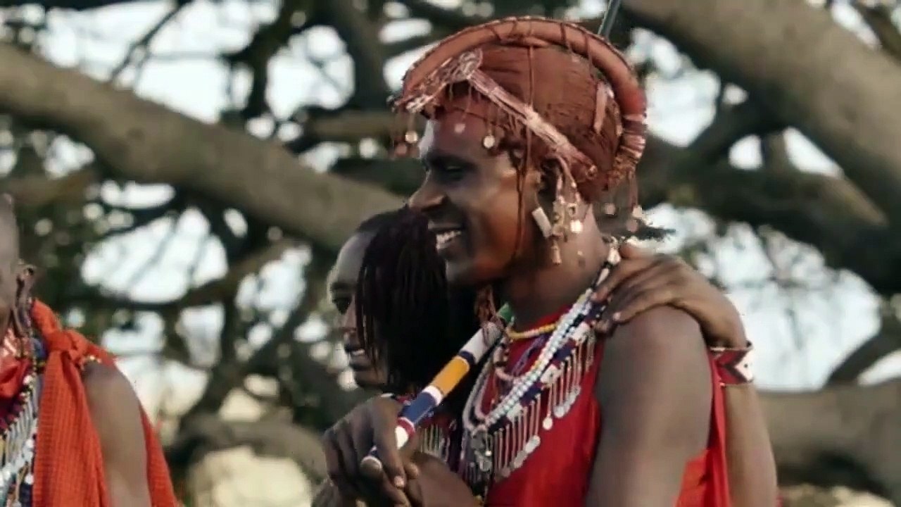 Big Cat Tales S01E02 Danger in the Long Grass  #DocuEngsubChannel