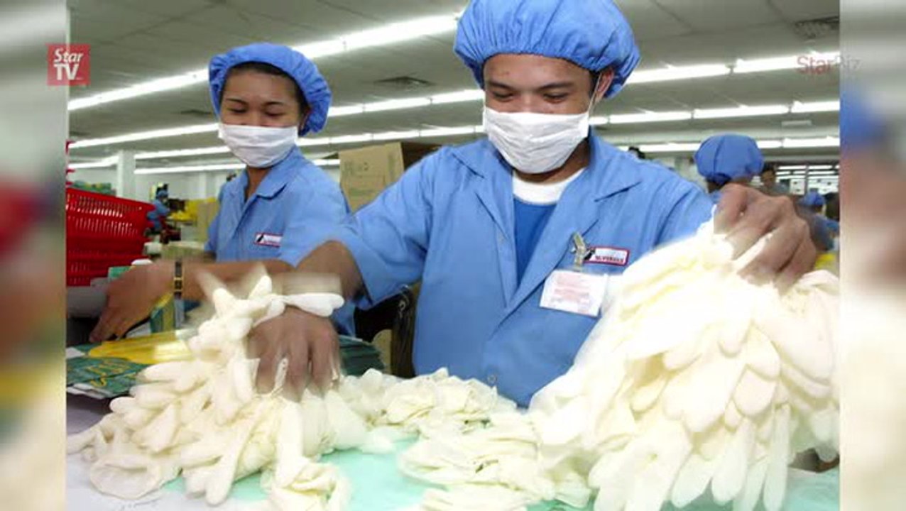 Glove producers profit affected by currency volatility