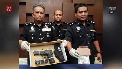 Customs and police need to look into why guns made available easily, says Chong