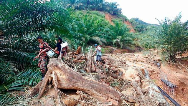 Search continues for seven missing mudslide victims in Sabah