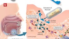 Needle-free vaccine delivery on the horizon