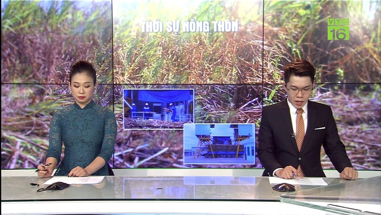 Thị trường lợn hơi lặng sóng | VTC16