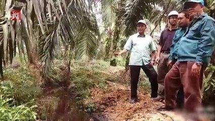 GLC-linked palm oil mill ordered to close over river pollution