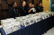 180kg slabs of cannabis seized
