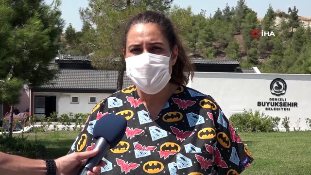 Av tüfeği ile vurulan leyleklere Büyükşehir sahip çıktı