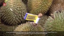 Prying open a new culture – eating durians