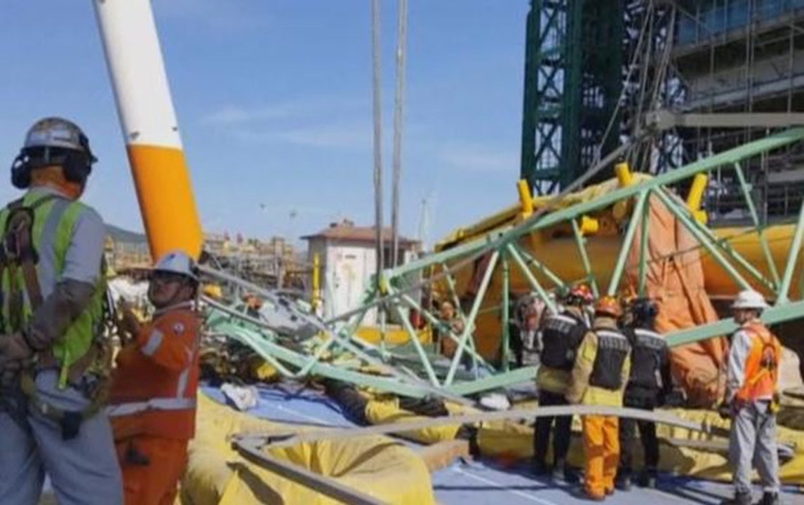 Five dead, 18 wounded in S. Korean crane accident
