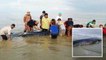 Villagers and firefighters rescue stranded whale on Miri beach
