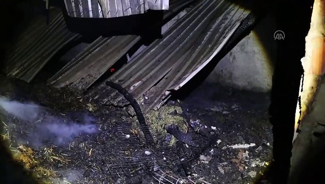 Ahır yangınında 15 buzağı telef oldu - BOLU