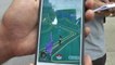 Trainers hunt for Pokemons