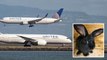 Giant rabbit, destined to be world's biggest, dies on United Airlines flight