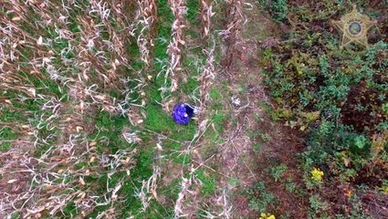 Drone finds missing elderly woman lost in cornfield