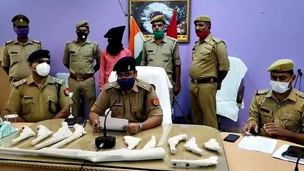 लखीमपुर: दस हजार का इनमिया शातिर अपराधी गिरफ्तार