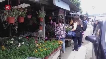 Local businesses bounce back after Kinabalu earthquake